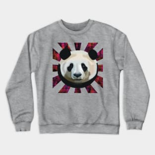 Striking Panda bear on pink black bubble patterned sun rays Crewneck Sweatshirt